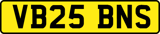 VB25BNS