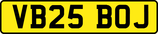 VB25BOJ