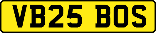 VB25BOS