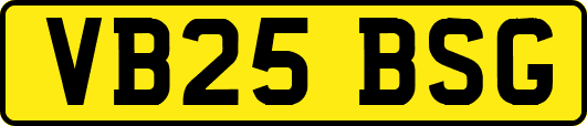 VB25BSG