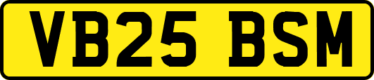 VB25BSM