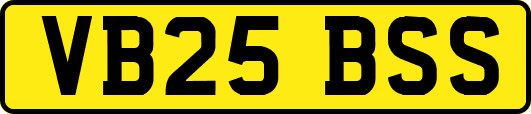 VB25BSS