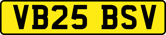 VB25BSV