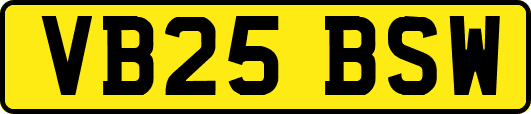 VB25BSW