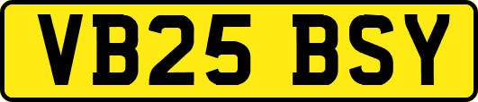 VB25BSY