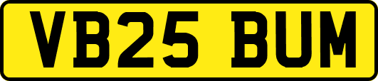 VB25BUM