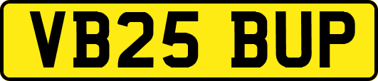 VB25BUP