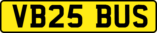 VB25BUS