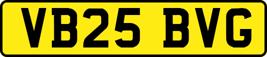 VB25BVG