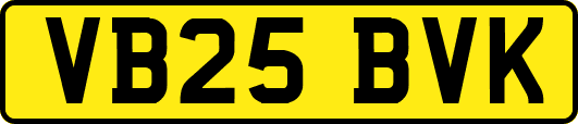 VB25BVK