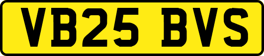 VB25BVS