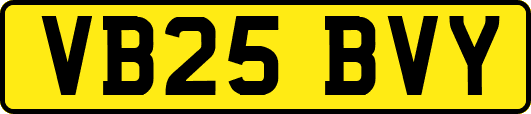 VB25BVY