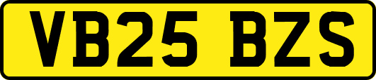 VB25BZS