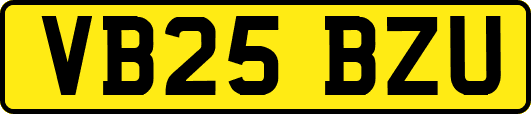 VB25BZU