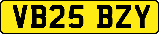 VB25BZY