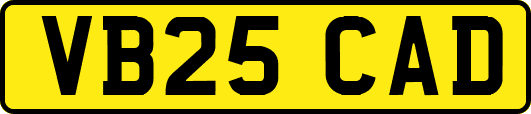 VB25CAD