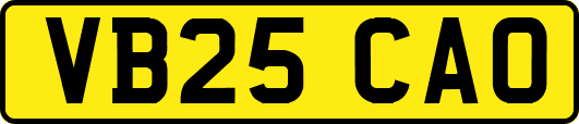 VB25CAO