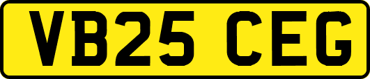 VB25CEG