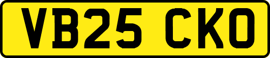 VB25CKO