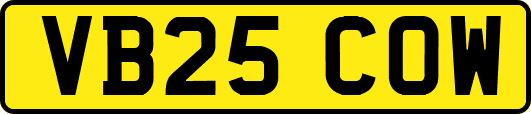 VB25COW