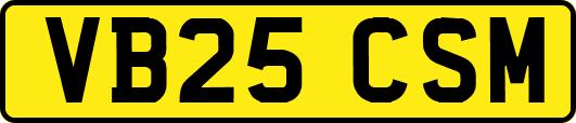 VB25CSM
