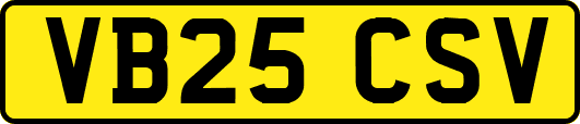 VB25CSV