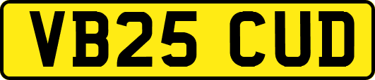 VB25CUD