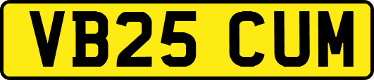 VB25CUM