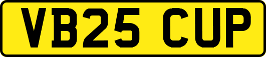 VB25CUP