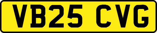 VB25CVG