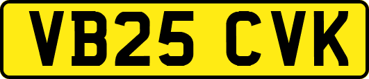 VB25CVK