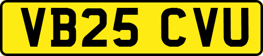 VB25CVU