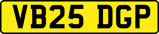 VB25DGP