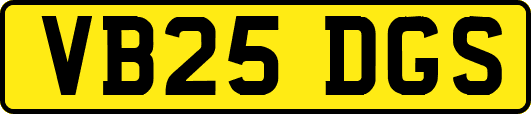 VB25DGS
