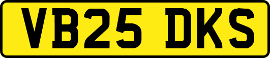 VB25DKS