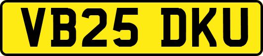 VB25DKU