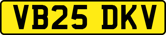 VB25DKV