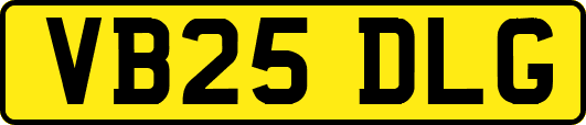 VB25DLG