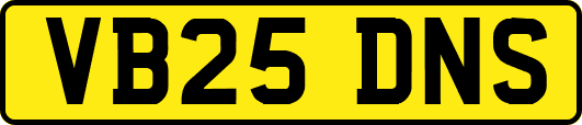 VB25DNS