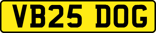 VB25DOG