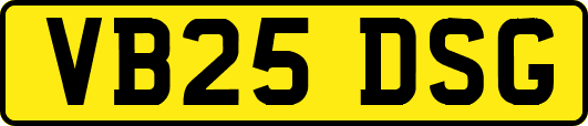 VB25DSG