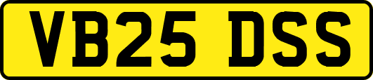 VB25DSS