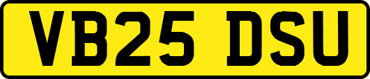VB25DSU