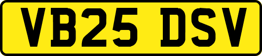 VB25DSV