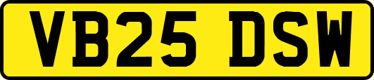 VB25DSW