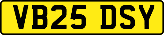 VB25DSY