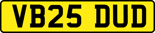 VB25DUD