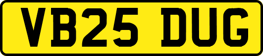 VB25DUG