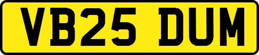 VB25DUM