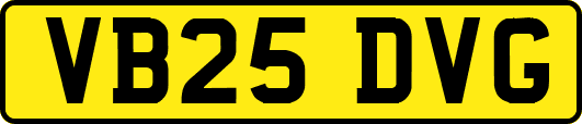 VB25DVG